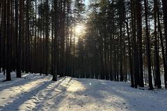 До +1 °С: Свердловскую область ждёт аномальное тепло