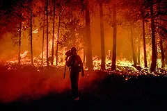 Число жертв природных пожаров Калифорнии выросло до 40 человек