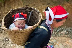 Каролина-Канзада, Одиссей и Рагнар родились в Свердловской области в 2016 году