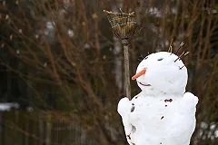 В Екатеринбурге вводятся ограничения на стоянку машин вдоль проезжей части