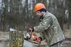 В Горсвете рассказали, как пенек попал в провода