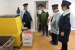 В колонии в Камышловском районе открылось производство мясных полуфабрикатов