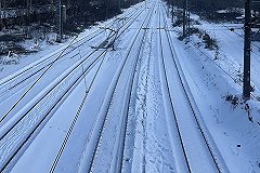 Тела двух замёрзших насмерть человек нашли в свердловском лесу