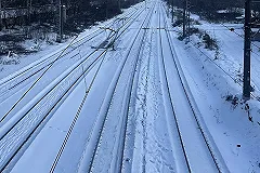 Тела двух замёрзших насмерть человек нашли в свердловском лесу