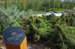 Посетители уничтожили более 10 тысяч растений в парке «Зарядье»