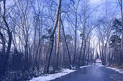 Екатеринбургский шоумен потребовал уволить директора ЦПКиО