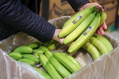 На российский рынок вышли новые мексиканские бананы