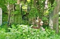 В Серове на кладбище засняли медвежонка