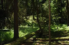 На Южном Урале двух приятелей убили за то, что они не уступили убийцам дорогу