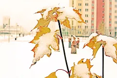 «На холоде люди лучше сохраняются». Юмор белоярских чиновников