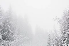 В Свердловской области объявлено штормовое предупреждение