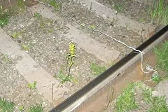 В Свердловской области ФСБ задержала подозреваемого в диверсии на железной дороге