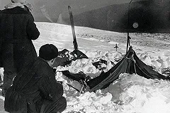 Будут искать следы реликтового гоминида: новая экспедиция к перевалу Дятлова