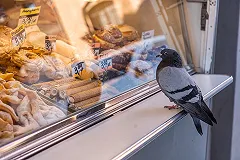 Психолог дала советы, как сохранить психику и семью, сидя в домашнем карантине