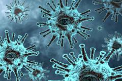 Ученые нашли простой и доступный всем способ уничтожить коронавирус за две минуты