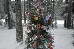 В Екатеринбургском зоопарке в этом году отказались принимать новогодние елки