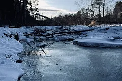 Эксперт сделал прогноз погоды на зимы в России на ближайшие 30 лет