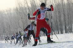 В Свердловской области пройдет День зимних видов спорта