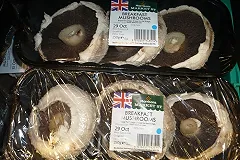 Бортпроводник «Уральских авиалиний» уехал в Англию выращивать грибы