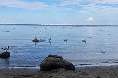 Жестко раскритиковавшая Екатеринбург за грязь москвичка поделилась впечатлениями от Петербурга