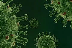 Учёные выяснили, откуда коронавирус попал в Россию. Это не Китай