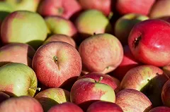 Ввоз санкционных продуктов резко снизился из-за угрозы их уничтожения