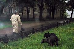 В Екатеринбурге «грязомесам» выписали первые штрафы по жалобам соседей