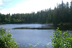 Инструктор по выживанию высоко оценил шансы найти ребёнка в Карелии живым