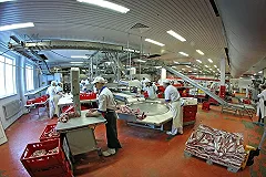 МУГИСО выделило «Арианту» 177 га земли для свинокомплекса в Серове