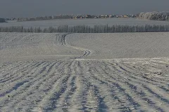 В Красноярском крае продают целую деревню вместе с местными жителями