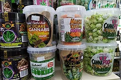 «Засухоустойчивая культура». Опытные поля в Сысертском районе уже засадили коноплей