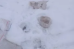 Под Екатеринбургом на трассе оставили мешок с кошками — фото