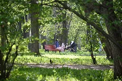 Вице-мэр Екатеринбурга ответил на критику паркового благоустройства