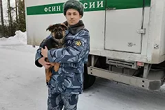 Свердловский депутат предложил поручить безнадзорных животных ФСИН