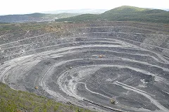 Свердловские власти разрешили Evraz вырубить особо ценный лес ради руды