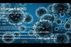 В Екатеринбурге растет заболеваемость гриппом и ОРВИ. «Доминируют риновирусы»