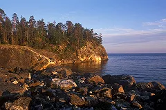 Выжившая в карельской трагедии девочка: «Нам запрещено говорить»