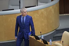 Онищенко предложил усыплять бездомных собак