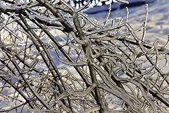 Ледяной дождь вернется в Екатеринбург в среду