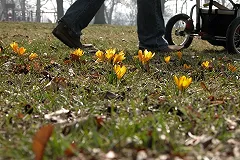 В Екатеринбурге на мужчину, который избил собственного 7-месячного сына, завели уголовное дело