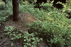 В отношении матери откопанной в Полетаево девочки возбуждено уголовное дело