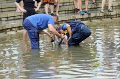 ЧП во время Дня Нептуна в Екатеринбурге: девочка застряла в водостоке
