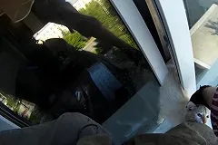 Зоозащитники просят хозяев не оставлять окна на микропроветривание: в узких проёмах гибнут животные