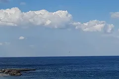 МИД настоял на синхронном начале экспорта зерна из России и с Украины