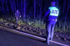 Водитель Ford погиб под Кировградом, вылетев из салона