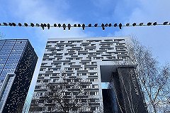 Синоптики рассказали, когда в Екатеринбурге потеплеет до +9 °С