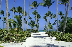 Любовник погибшей в Доминикане голой россиянки рассказал о ее работе