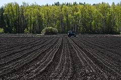 Куйвашев назначил нового министра сельского хозяйства Свердловской области