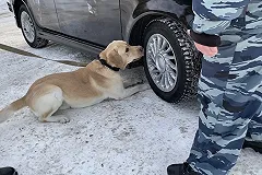 Студенты Лесотехнического университета посетили кинологическую службу полиции Екатеринбурга