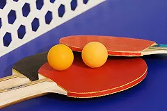 Область отправит заявку на проведение Чемпионата мира по настольному теннису